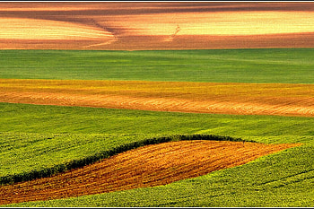 Fields, cool, beautiful HD wallpaper