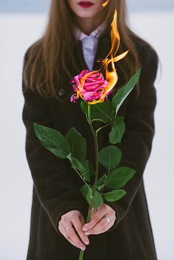 Fire, Flower, Flame, Miscellanea, Miscellaneous, Rose Flower, Rose, Hands, Girl HD phone wallpaper