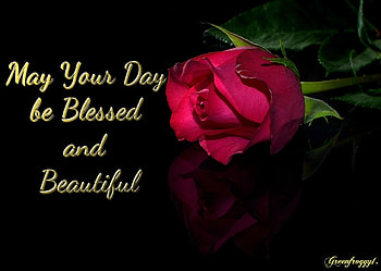 MAY YOUR DAY, DAY, BEAUTIFUL, COMMENT, CARD HD wallpaper