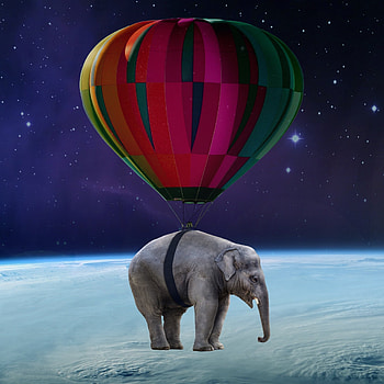 Universe, Miscellanea, Miscellaneous, Balloon, Elephant, Weightlessness HD wallpaper