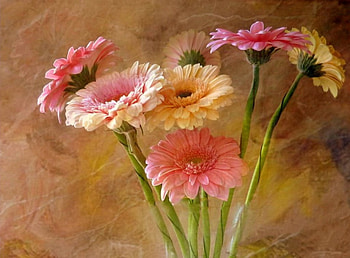 Still life, bouquet, soft, vase, beautiful, nice, tender, gerberas, delicate, painting, pretty, flowers, lovely HD wallpaper
