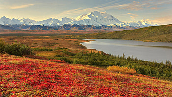Field in Alaska, plants, alaska, grass, mountain, lake, field, green, red, clouds, nature, sky, water HD wallpaper