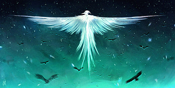 Ravens Cloak , raven, artist, artwork, digital-art, deviantart HD wallpaper