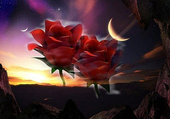 Roses at Night, night, rose, moon, light HD wallpaper