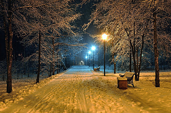 Winter Night Scenes HD wallpaper