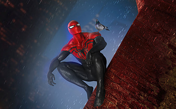 Spiderman And Pigeon, spiderman, superheroes, artist, artwork, digital-art, artstation HD wallpaper