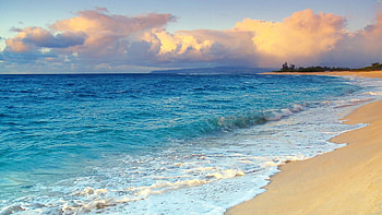 Hawaii beach , Tropical paradise, Oceanic splendor, Sandy shores HD wallpaper