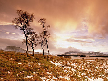Nature, Trees, Grass, Sky, Clouds, Snow, Slope HD wallpaper