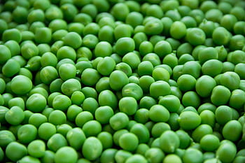 A vibrant close-up of fresh, organic green peas for healthy eating. HD wallpaper