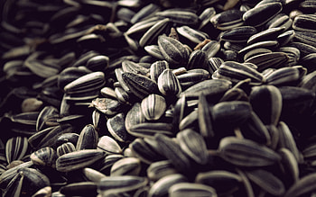 Seeds , Nature's beauty, Access, High-definition bliss HD wallpaper
