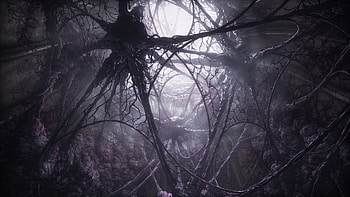 Scorn: Abyssal Vines — Video Game, video game, Scorn HD wallpaper