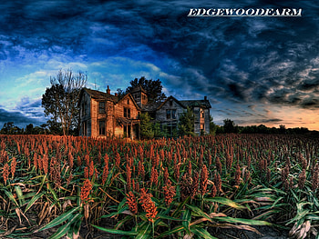 edgewoodfarm, blue, landscape, farms, houses HD wallpaper