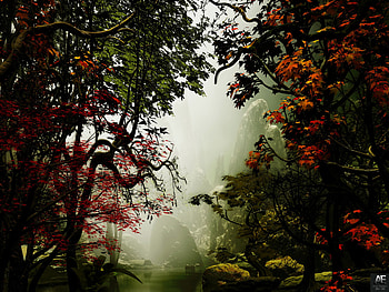 Art, Trees, Autumn, Rocks, Fog HD wallpaper