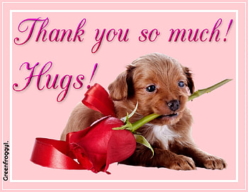 THANK YOU, YOU, THANK, COMMENT, CARD HD wallpaper