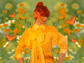 Delicate Orange, flowers, girl, orange, colorful, white, vibrant, butterflies, vivid, green, yellow, bright, bold HD wallpaper