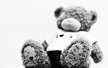 Teddy Bear, Miscellanea, Miscellaneous, Bear, Toy, Plush, Soft HD wallpaper