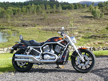 harley davidson streetrod, motorcycle, steetrod, harley, scotland HD wallpaper