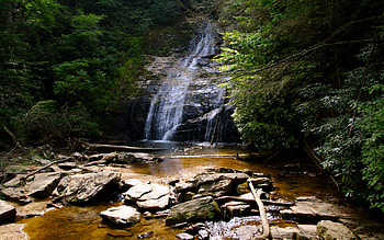 Helton Creek Falls, forests, waterfalls, beautiful, rocks, green, logs, fallen, nature, water, clear HD wallpaper