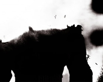 Shadow of the Colossus , shadow of the colossus, team ico, ps2 HD wallpaper