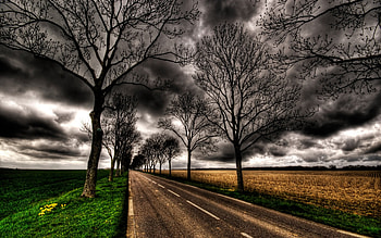 way, wds, landscape, clouds, trees, sky, storm HD wallpaper