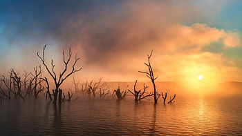 fog on the water, fall, landscape, smoke, autumn, lake, sunset HD wallpaper