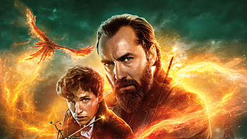 David Yates, Fantastic Beasts, Dumbledore's secrets, HBO Max HD wallpaper