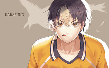 Anime volleyball team, Illustration artwork, Haikyuu characters, Digital art HD wallpaper