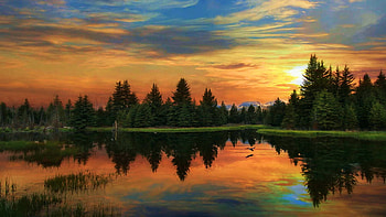 Call of the Wild - The call of a wild duck at sunset in the Tetons, trees, clouds, colors, sky, water, wyoming, lake, reflections, usa HD wallpaper