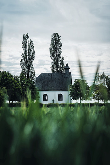 Cities, Trees, Grass, Architecture, Building, Church HD phone wallpaper
