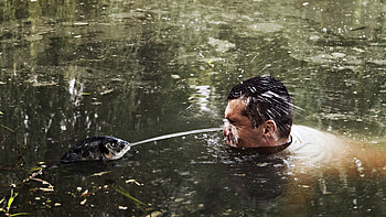 Revenge of the sushi, revenge, situation, man, summer, creative, fantasy, sushi, funny, fish, water, vara HD wallpaper