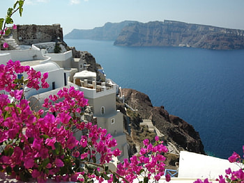 flowers of oia, island, flowers, santorini, house HD wallpaper