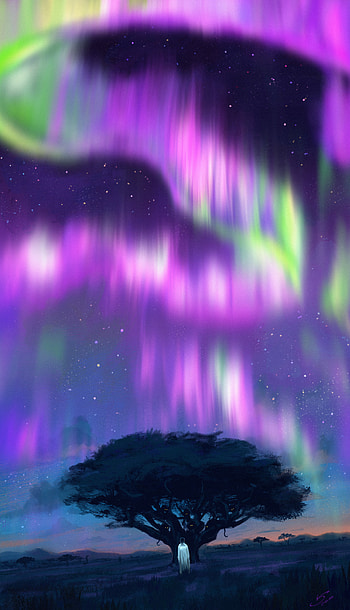 Art, Night, Dark, Silhouette, Wood, Tree, Northern Lights, Aurora Borealis HD phone wallpaper
