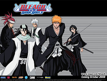 Bleach, girl, anime, everyone, boys HD wallpaper