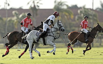 Scone vs Flexjet, Horse Polo HD wallpaper