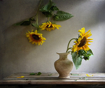 Sunflowers, Summer, Vase, Table HD wallpaper