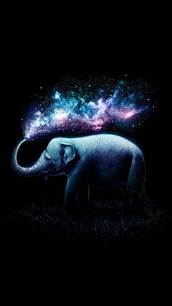 Elephant, fantasy, black, animal HD phone wallpaper