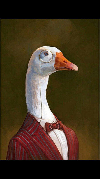 ganso de terno, funny, Animal HD phone wallpaper