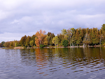 A Hint Of Autumn, Reflections, graphy, Forest, Lake, Nature, Autumn, Clouds, Sky HD wallpaper