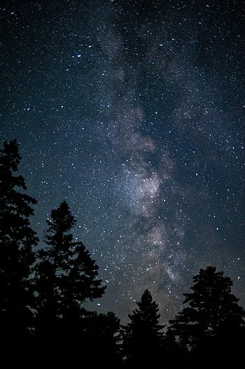 Nature, Trees, Universe, Silhouette, Starry Sky HD phone wallpaper