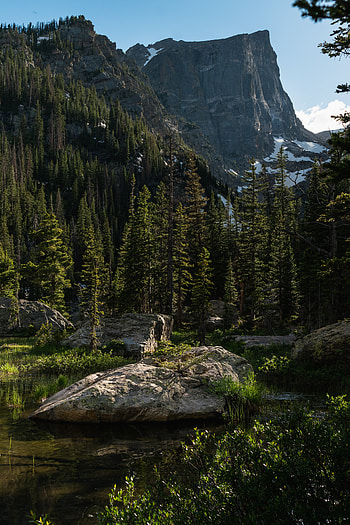 Nature, Water, Trees, Stones, Bush, Cliff HD phone wallpaper