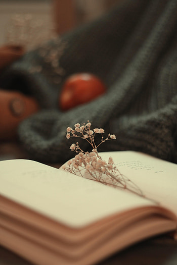 Flowers, Miscellanea, Miscellaneous, Book, Pages, Page, Dried Flowers, Dryflower HD phone wallpaper