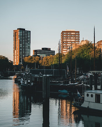 Rotterdam Skyline, Travels, Studium in Rotterdam, Milestone Living HD phone wallpaper