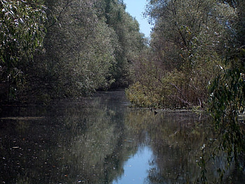 Romania-Danube Delta, danube delta, romania HD wallpaper