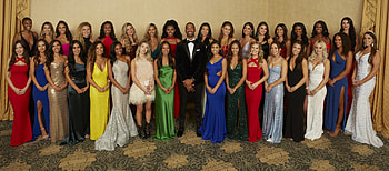 The Bachelor, Viewer votes, Season 25, Renewed or canceled HD wallpaper