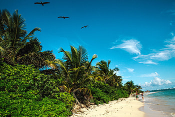 Quiet corner, Caribbean, Culebra Island, New York Times HD wallpaper