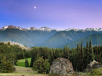 Nature, Trees, Sky, Mountains, Sun, Conifers, Coniferous, Fog HD wallpaper