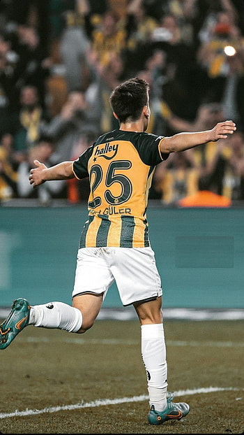 Arda Güler, fener, alex, mesut, ardaguler, guler, ozil, fenerbahce, football, sampiyon HD phone wallpaper