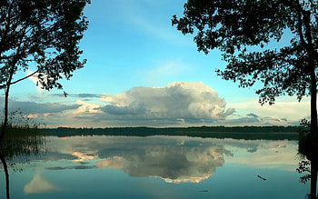 Nature, Trees, Clouds, Reflection, Pond, Volumetric, Voluminous HD wallpaper