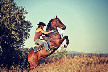 Ride Hard, style, rodeo, fun, brunettes, cowgirls, fashion, horses, ranch, girls, women, models, boots, western, hats, female HD wallpaper