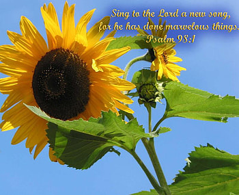 Sing Unto the Lord, scripture, verse, flowers, christian, sunflower HD wallpaper